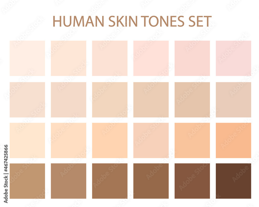 Vecteur Stock Creative vector illustration of human skin tone color palette  set isolated on transparent background. Vector illustration EPS10 | Adobe  Stock