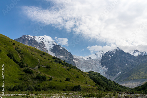 A panoramic view on the snow-capped peaks of Tetnuldi  Gistola and Lakutsia in the Greater Caucasus Mountain Range in Georgia  Svaneti Region. Hills with lush pastures  sharp peaks  hiking vibes.