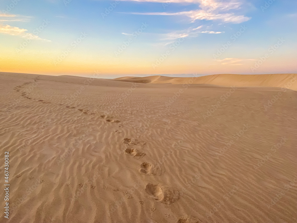 footprints in the sand in the desert going into the distance. High quality photo footprints in the sand in the desert going into the distance. High quality photo