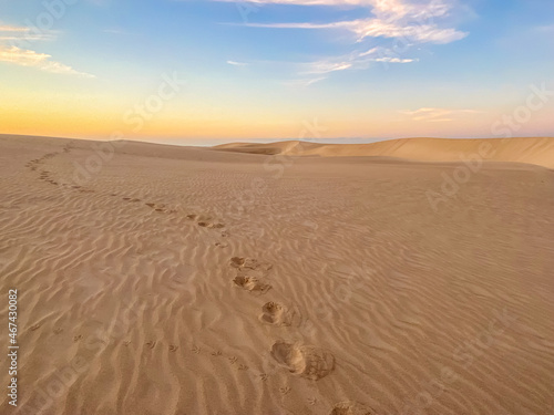 footprints in the sand in the desert going into the distance. High quality photo