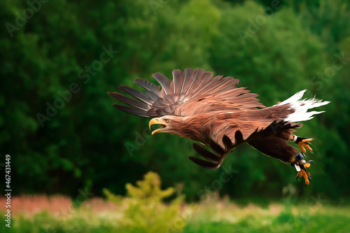 Wallpaper Mural im Flug Torontodigital.ca