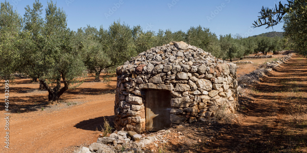 Fototapeta premium 4017