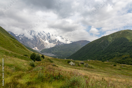 Wallpaper Mural A panoramic view on the snow-capped peaks of Tetnuldi, Gistola and Lakutsia in the Greater Caucasus Mountain Range in Georgia, Svaneti Region. Hills with lush pastures, peaks covered in clouds. Torontodigital.ca