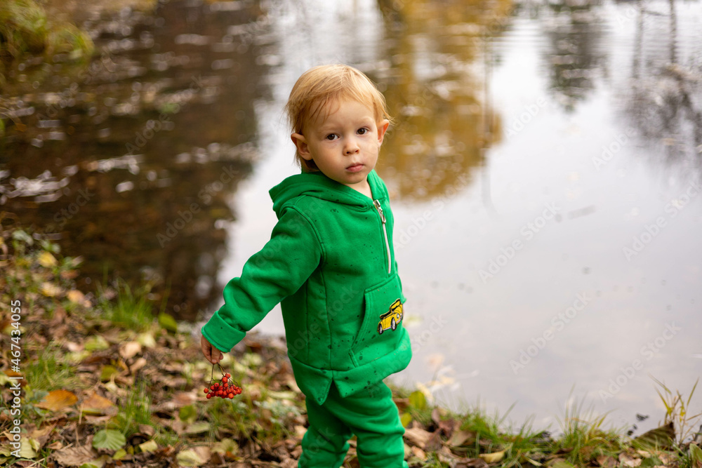 little child walking in autumn park little child walking in autumn park