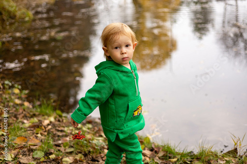 little child walking in autumn park © Andrii