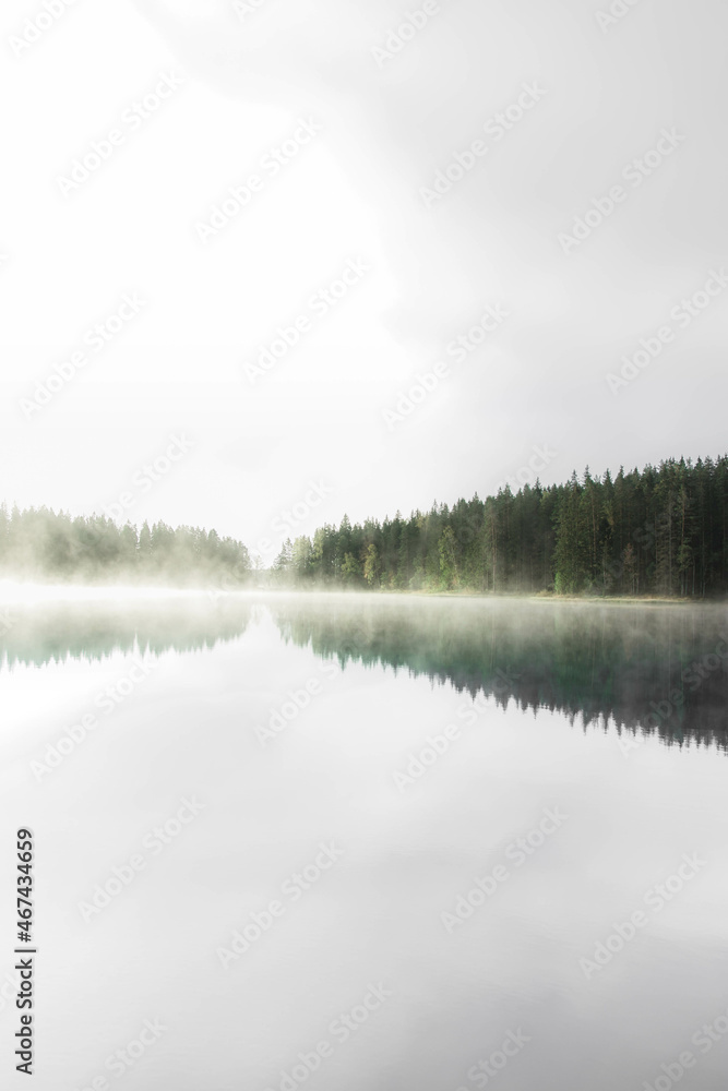 misty morning on the lake with reflections in the water