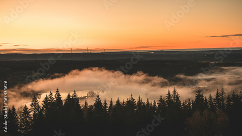 sunrise over the forest with low clouds