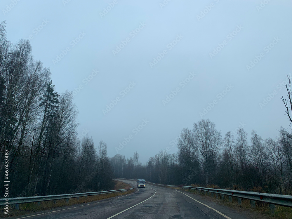 Fototapeta premium Empty road in the fog, gloomy mood