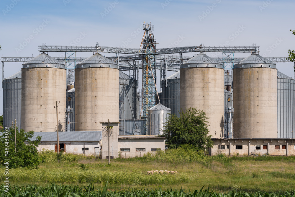 Agricultural silos of concrete. Agricultural silos of concrete.