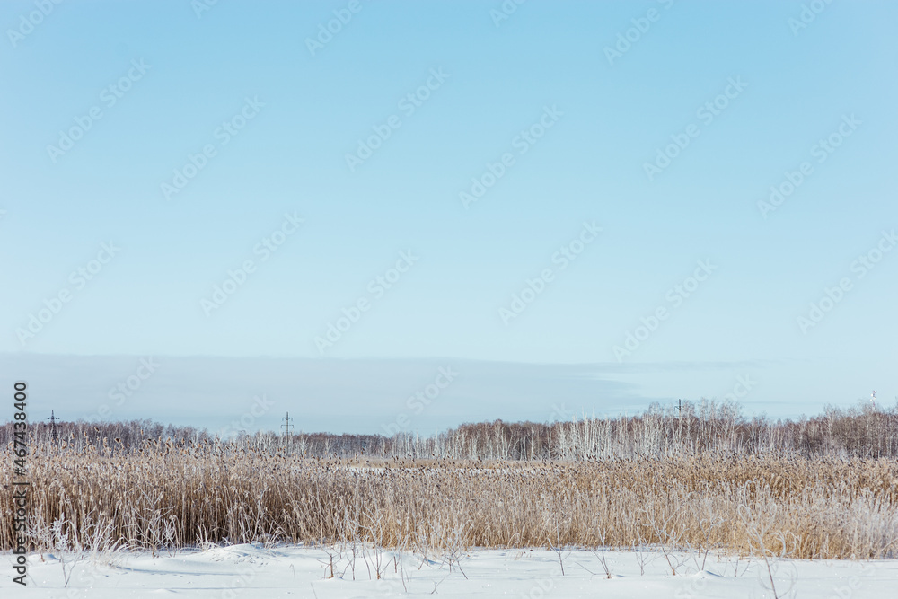 Winter landscape with snow-covered field and clear blue sky, grass covered with frost Winter landscape with snow-covered field and clear blue sky, grass covered with frost