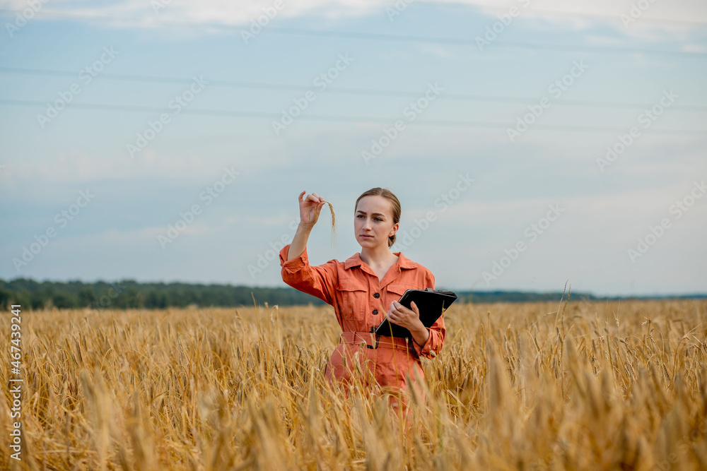 Agronomist holding test tube with barley grains in field, closeup. Cereal farming, oncept of wheat testing Agronomist holding test tube with barley grains in field, closeup. Cereal farming, oncept of wheat testing