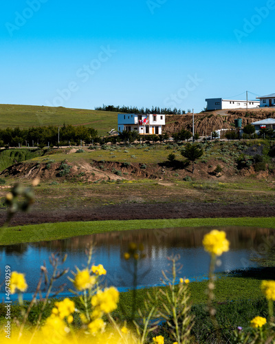 House with Chilean flag in a meadow with a lake in front and vegetation around it