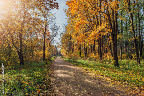Path in the city park at autumn morning. © serjiob74