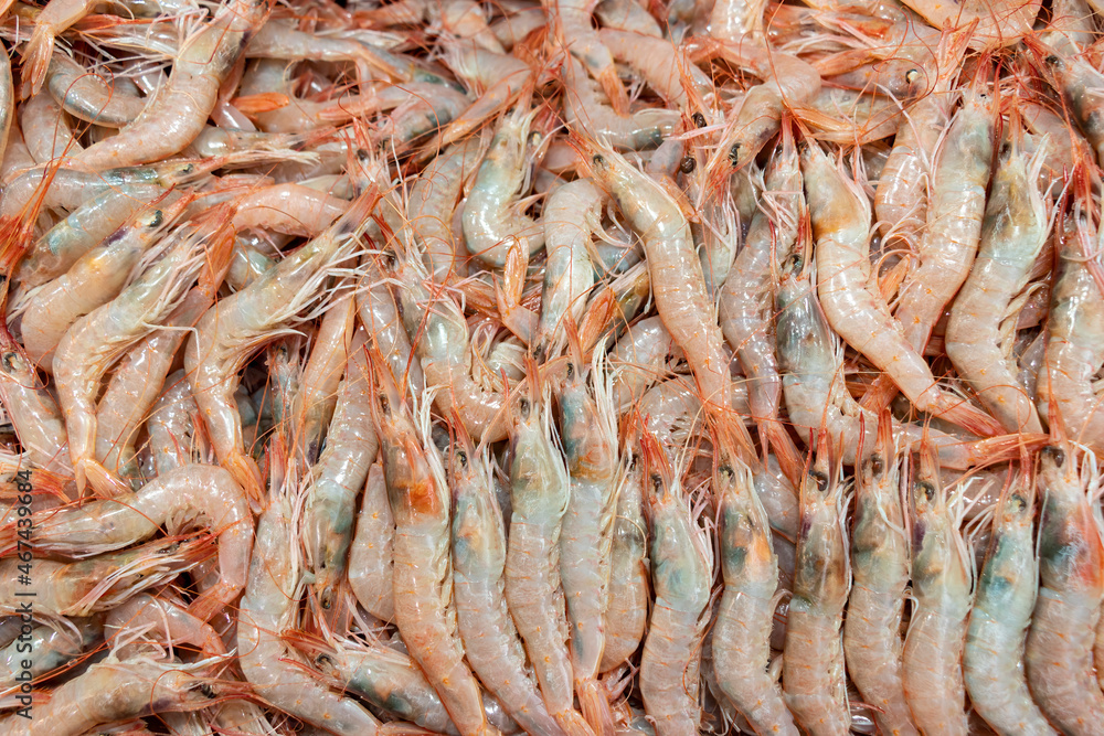 Prawns, seafood, white prawns (Gambas blancas de Isla Cristina, Huelva) Prawns, seafood, white prawns (Gambas blancas de Isla Cristina, Huelva)