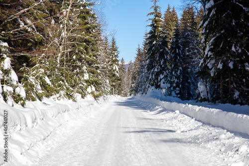 Snow- and ice-covered service road to mount Rachel in the Bavarian Forrest
