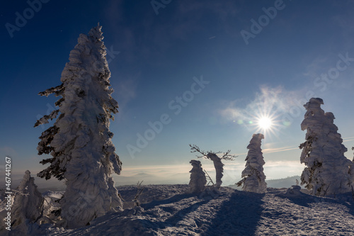 wind and weather shaped abstract snow sculptures at Mount Lusen summit