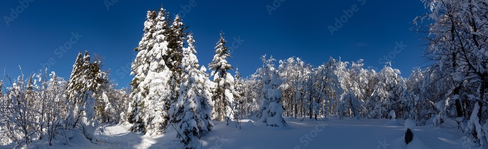 Bavarian Forrest National Park winter landscape Bavarian Forrest National Park winter landscape