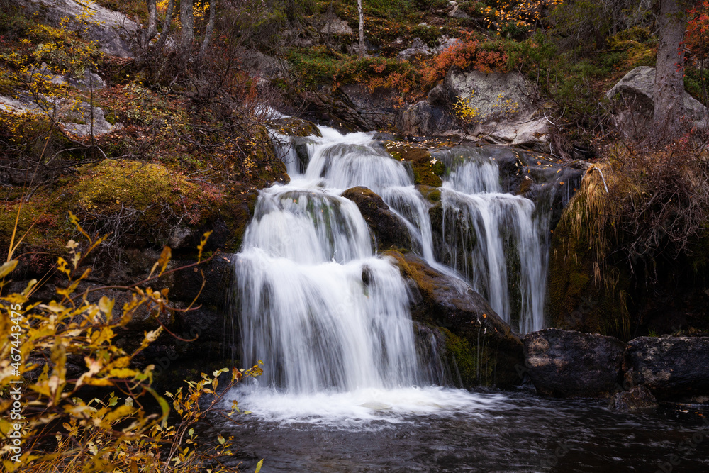 Beautiful Kullaoja waterfall flowing in the middle of autumn colors. Shot near Salla, Northern Finland. 