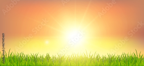 Beautiful spring or summer background with green grass and sunset landscape. Field under the sunlight. Realistic wallpaper for banner, poster, flyer. Vector illustration EPS10