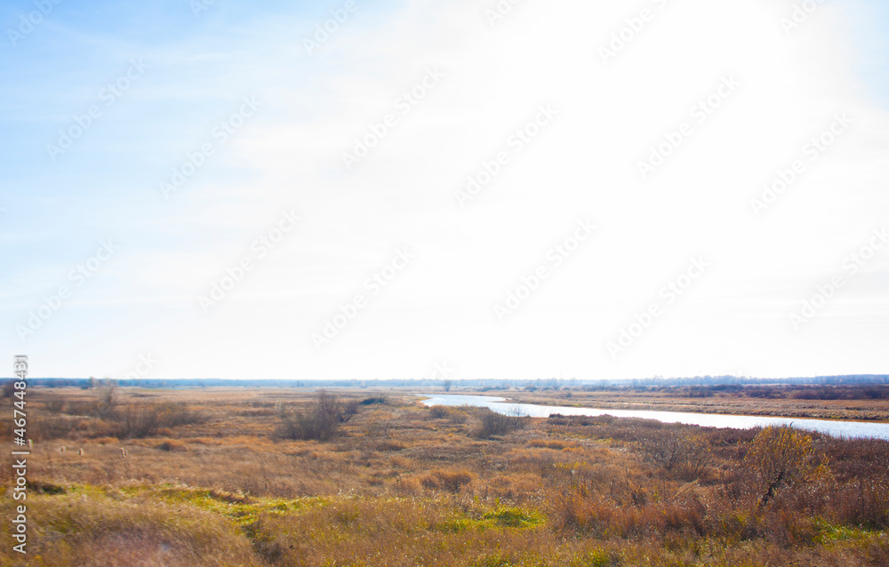 A small stream and yellowed autumn grass under a blue sky. Autumn landscape of the swamp on a bright sunny day. A small stream and yellowed autumn grass under a blue sky. Autumn landscape of the swamp on a bright sunny day.