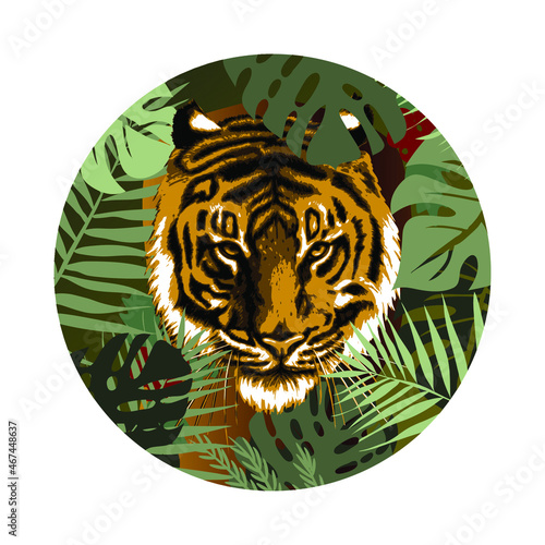 A tiger looks out of the jungle. Leaves, branches, grass, the muzzle of a predatory animal. Sign, symbol of 2022. 