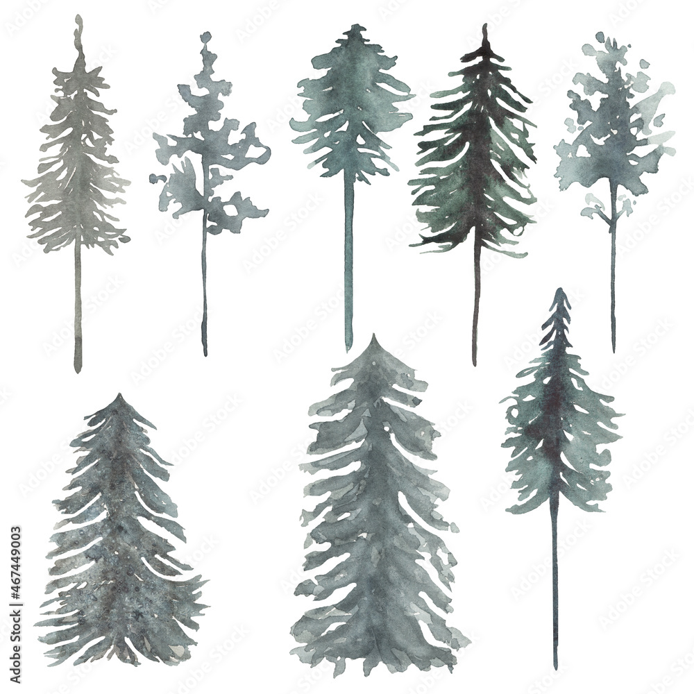 Forest tree Clipart, Watercolor Woodland trees, Winter Foggy landscapes, Pine forest illustration, Wedding invites, card making, logo design