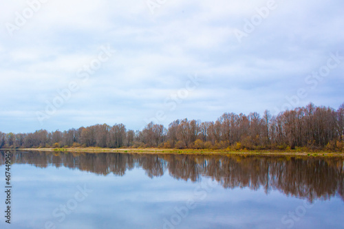 Reflection of the autumn forest on the smooth surface of the water. Autumn landscape of the opposite bank of the river in cloudy weather. 