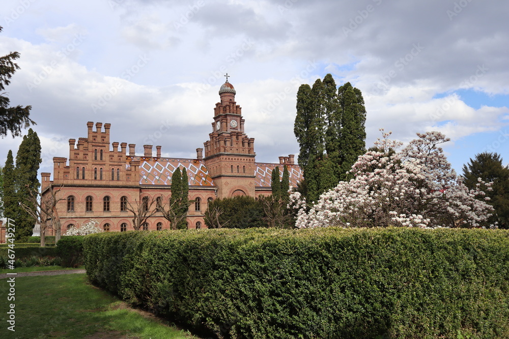 View of the residence of the Metropolitans of Bukovina and Dalmatia, Clock Tower and a dome against the background of green plants and blooming magnolia on a spring day, Chernivtsi, , architectural mo