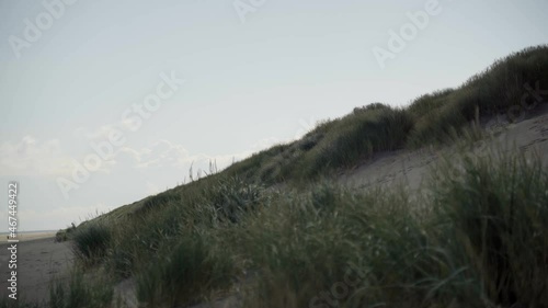 Two seagulls fly over the dunes