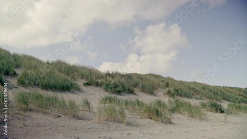 Patches of dune grass flow gently in the breeze