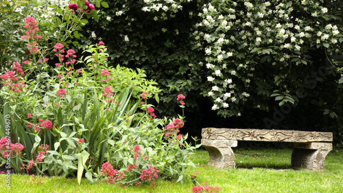 Fototapeta Naklejka Na Ścianę i Meble -  Ornamental stone bench under fragrant, white flowering jasmine bush, in secluded garden scenery .