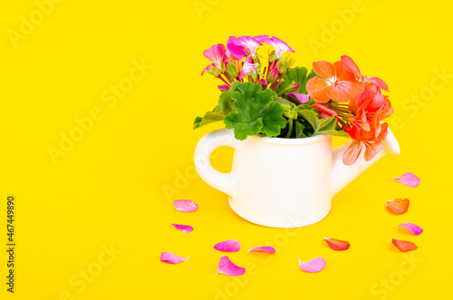 Wallpaper Mural White vase in form of watering can with flowers on bright background. Gardening concept. Studio Photo Torontodigital.ca