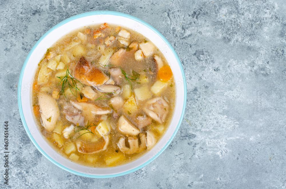 Delicious homemade soup with wild mushrooms. Studio Photo. Delicious homemade soup with wild mushrooms. Studio Photo.