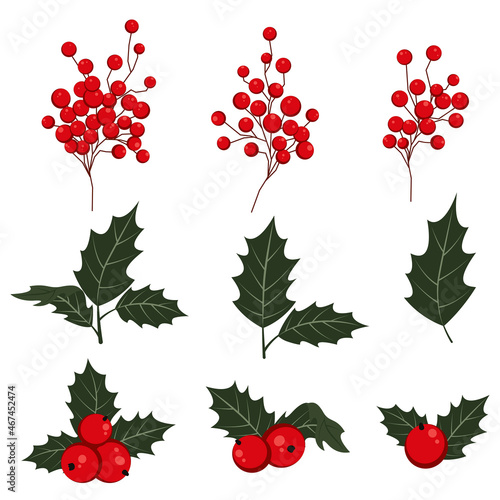 Christmas set of vector illustrations of holly branches. Holly sprigs with red berries and green leaves. Christmas decorations on a white background.
