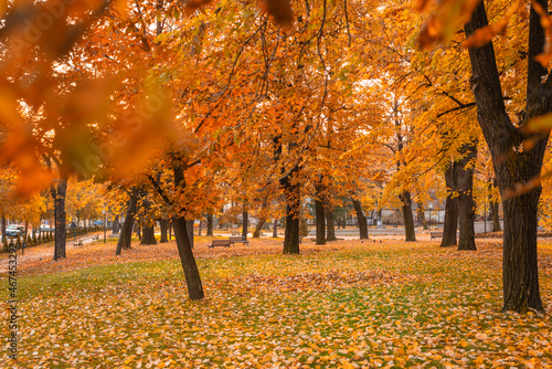 City park in Vranje captured in autumn morning. photo
