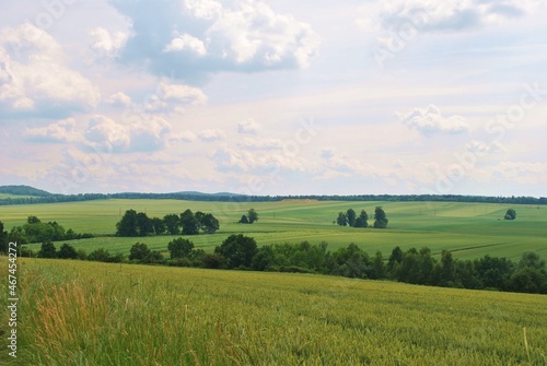 Obraz na płótnie Pejzaż wiosennych pól w salonie