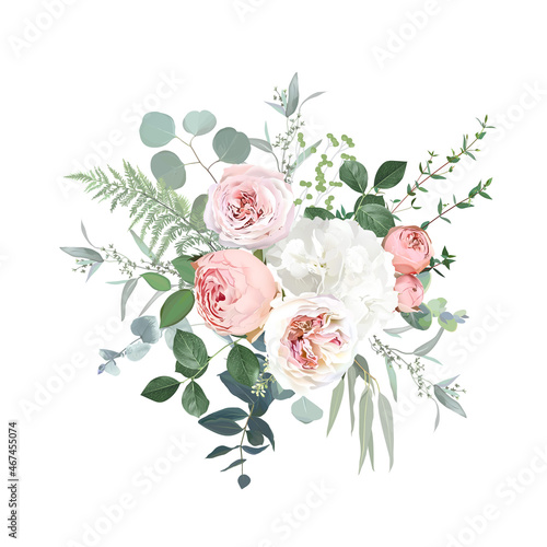 Blush pink garden roses, ranunculus, hydrangea flowers vector design bouquet