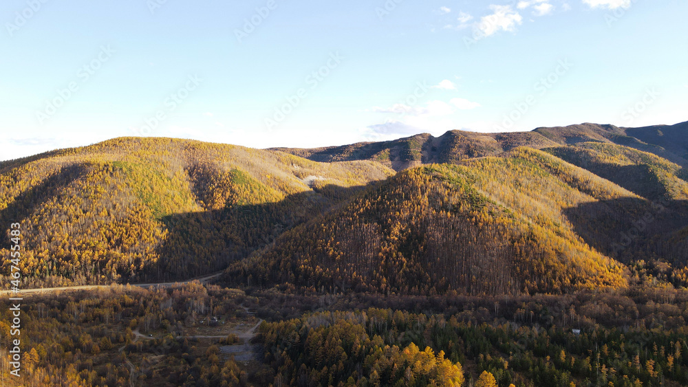 Aerial view of Mountain Range, Autumn, Colorful Forest in Sunset, Russia, Bureinsky ridge, Kholdomi