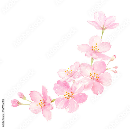 桜の水彩イラスト コーナーの飾り 