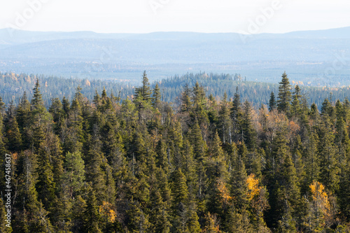 View of autumnal taiga forest with hills and mountains shot from Valtavaara hill near Kuusamo, Finnish nature, Northern Europe. 