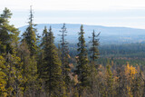 View of autumnal taiga forest with hills and mountains shot from Valtavaara hill near Kuusamo, Finnish nature, Northern Europe.	