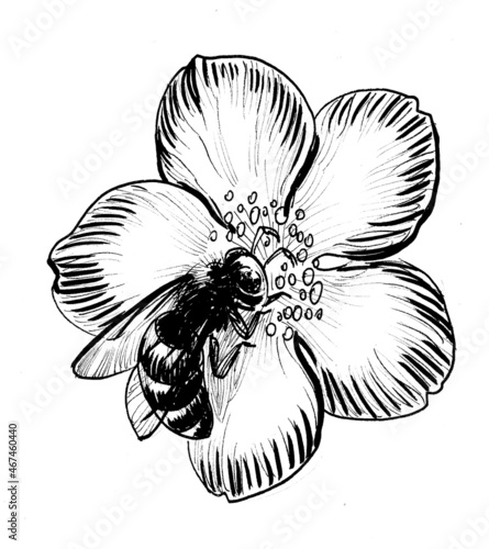 Bee and blossoming flower. Ink black and white drawing