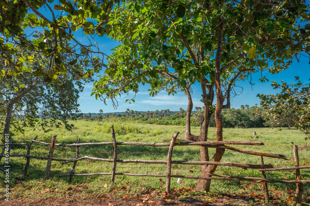 Wooden fence home made rural village landscape Wooden fence home made rural village landscape