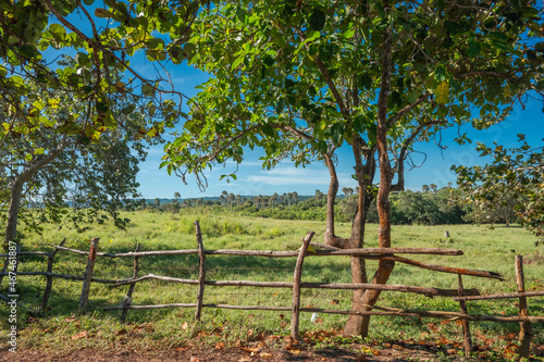 Wooden fence home made rural village landscape