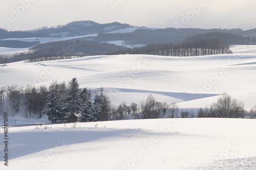 雪に覆われた畑作地帯 © kinpouge