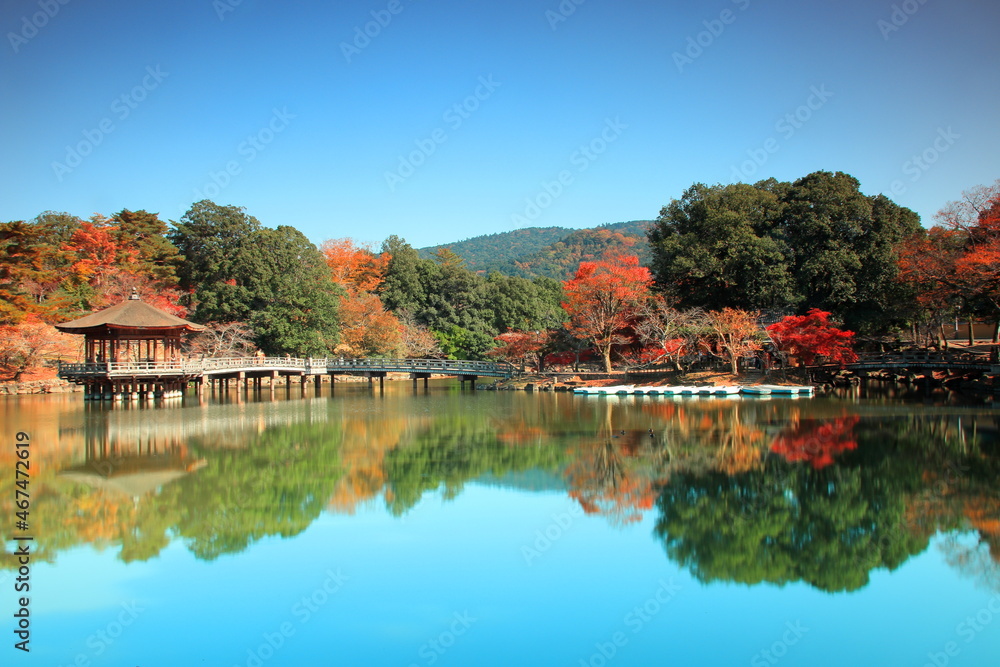 奈良の紅葉