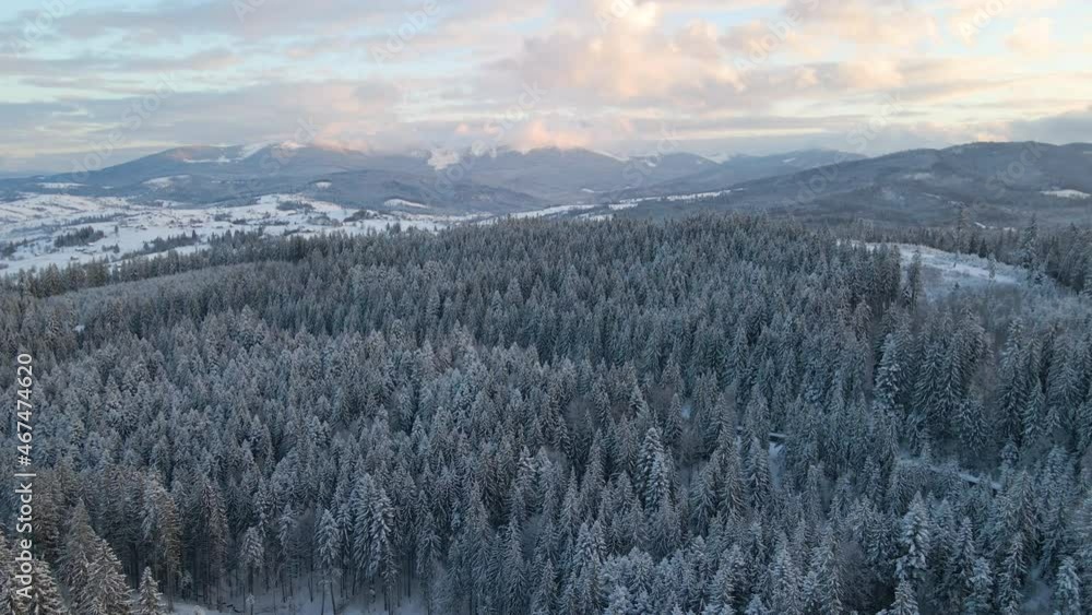 Aerial winter landscape with spruse trees of snow covered forest in cold mountains in the evening. Aerial winter landscape with spruse trees of snow covered forest in cold mountains in the evening.