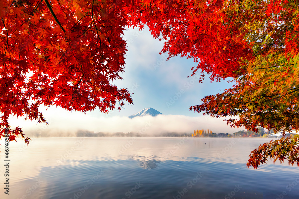 Fuji Mountain and Red Maple Leaves with Morning Mist at Kawaguchiko Lake in Autumn, Japan