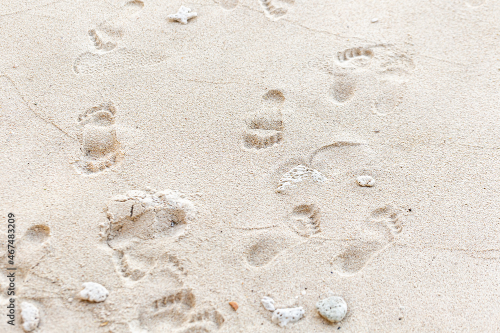 close up of sea beach sand for texture and background
close up of sea beach sand for texture and background