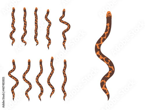 Animal Animation Sequence Kenyan Sand Boa Cartoon Vector